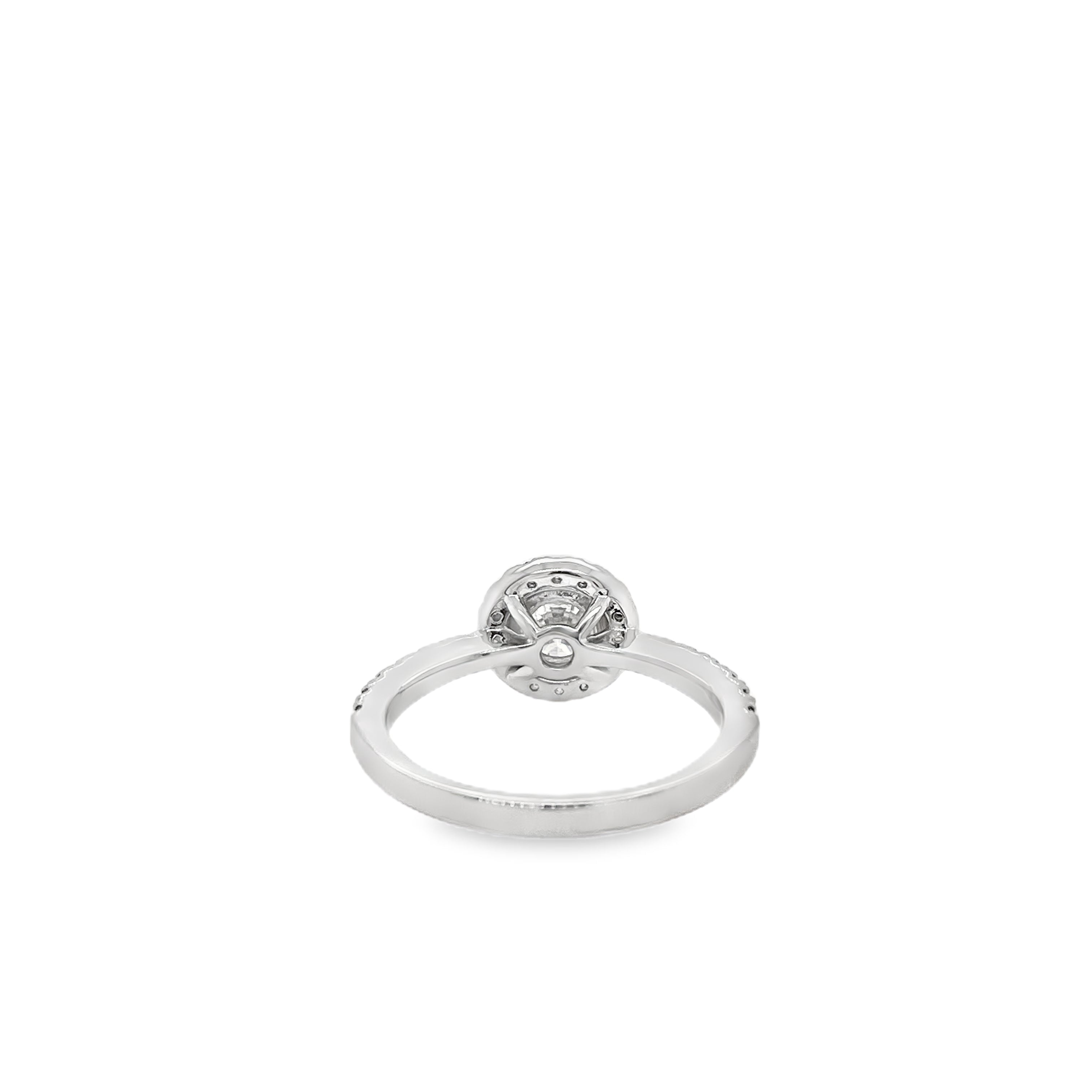 1ct Round Brilliant Diamond Halo Ring